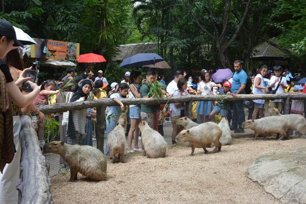 โรงเรียนปรีชานุศาสน์